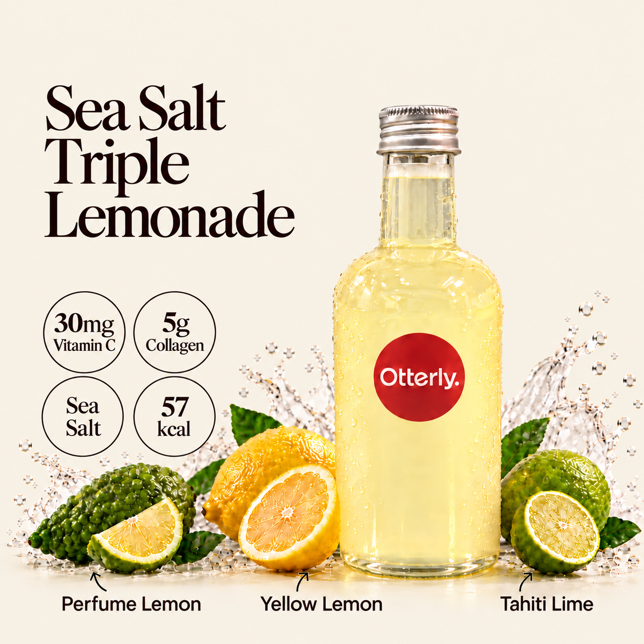 Sea Salt Triple Lemonade product poster